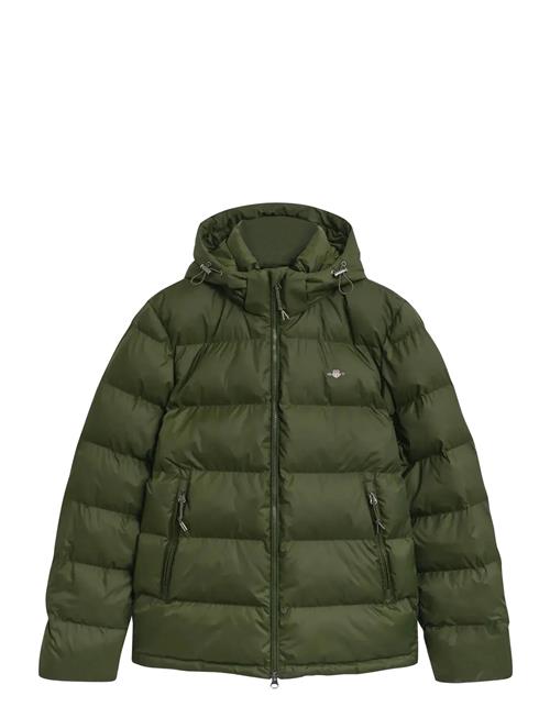 Active Cloud Jacket GANT Green
