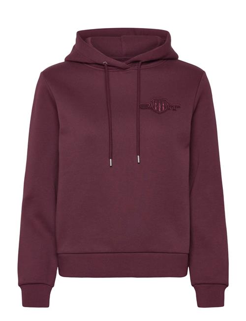 Reg Tonal Shield Hoodie GANT Burgundy