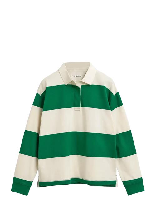 Striped Cotton Heavy Rugger GANT Green