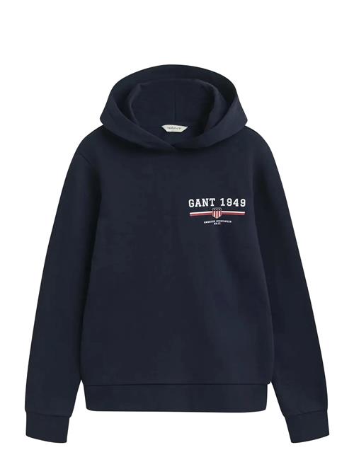 Reg Graphic Hoodie GANT Navy