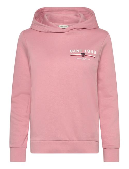 Reg Graphic Hoodie GANT Pink