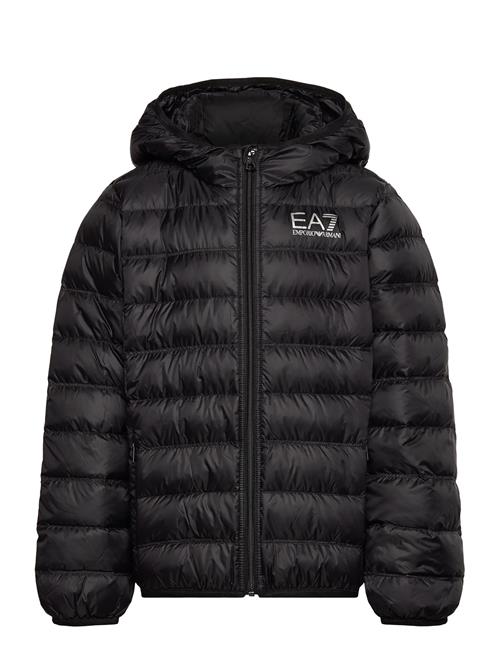 Down Jacket EA7 Black