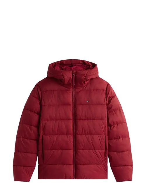 Mid Weight Hooded Jacket Tommy Hilfiger Red