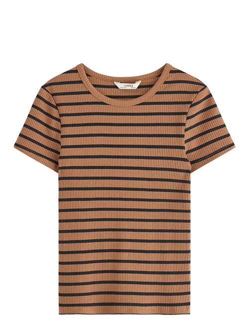 Top Love Lindex Brown