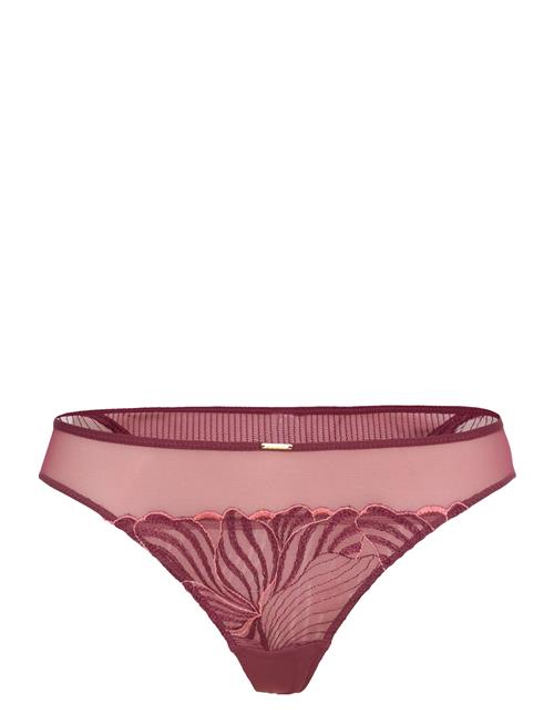 Legend Tanga CHANTELLE Pink