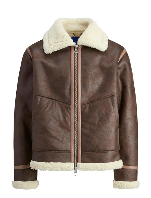 Jack & Jones Jorliverpool Aviator Jacket Sn Jack & J S Brown