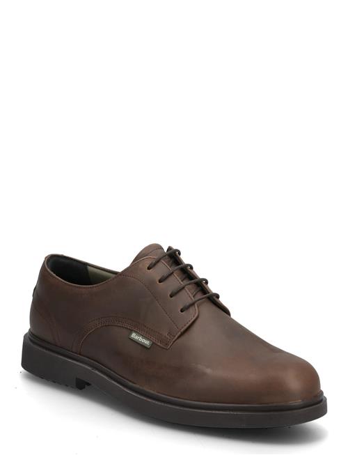 Barbour Carthy Derby Shoe Barbour Brown