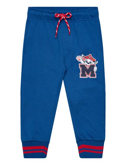 Pants Paw Patrol Blue