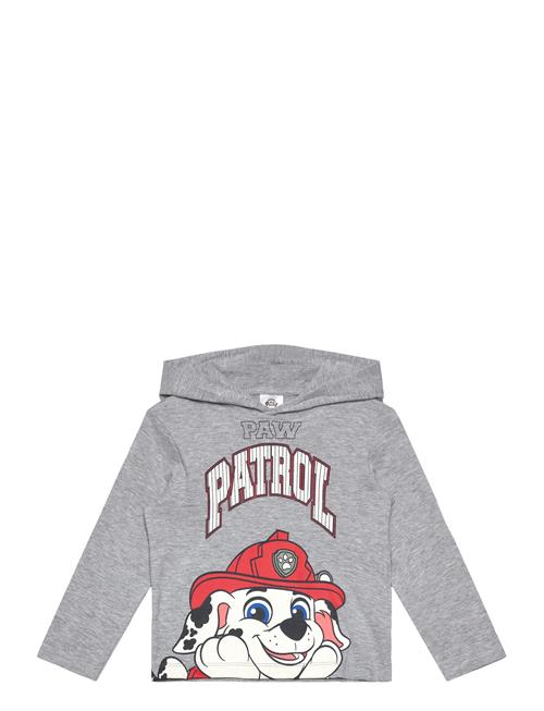 Tshirt Paw Patrol Grey