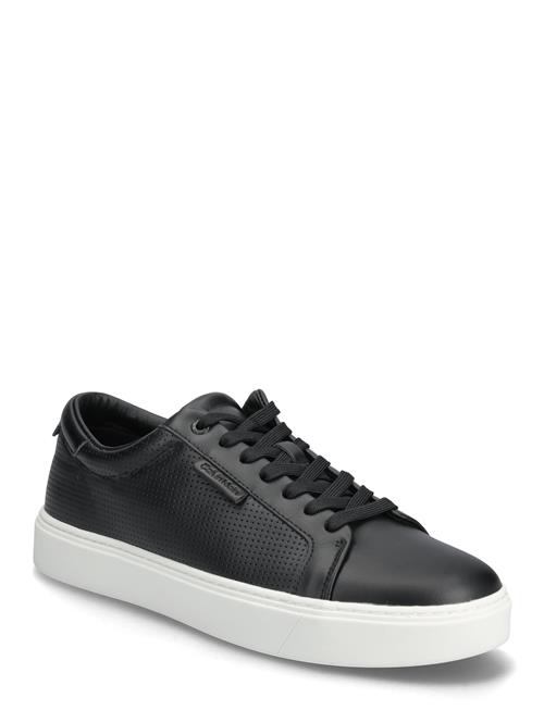 Clean Cup Low Laceup Perf Lth Calvin Klein Black