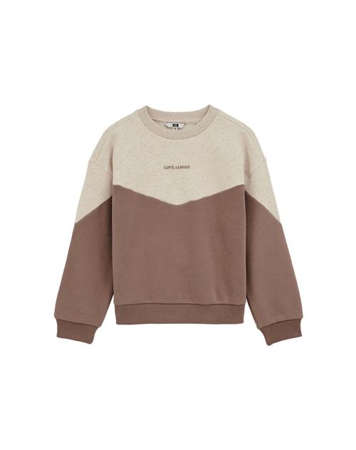 WE Fashion Sweatshirt  beige-meleret / brun
