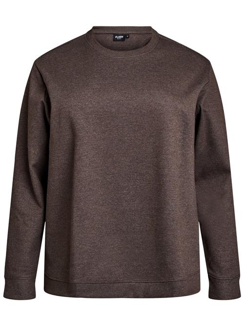 Zizzi Sweatshirt 'Vigga'  choko