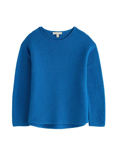 Seasalt Cornwall Pullover 'Fruity Jumper'  blå