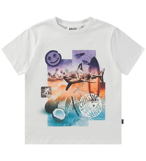 Molo T-shirt - Rame - Collage Surf
