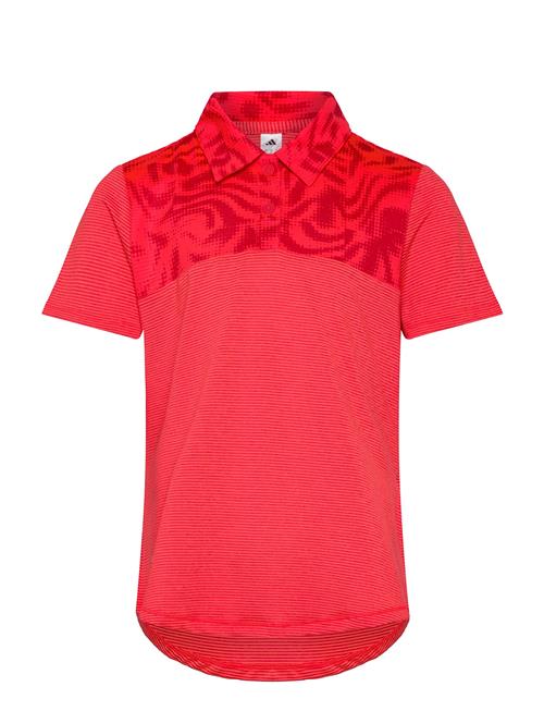 G Club Polo Adidas Golf Red
