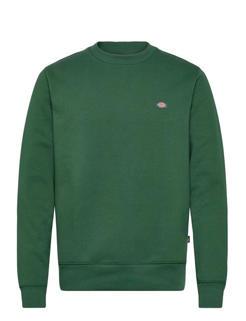 Se M Oakport Sweatshirt Dickies Green ved Booztlet