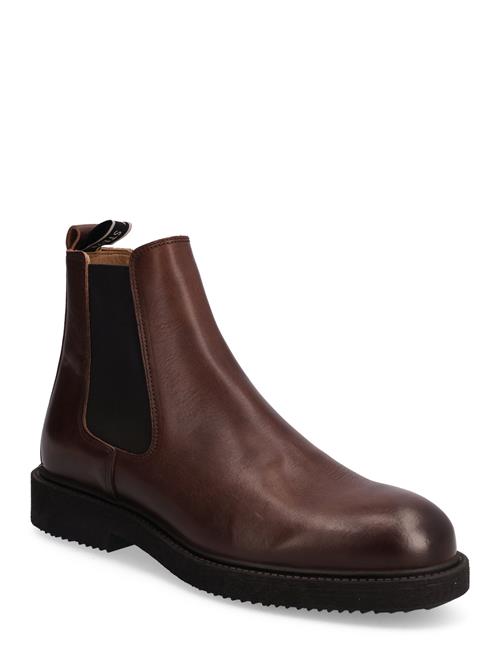 Sense Brown Sneaky Steve Brown