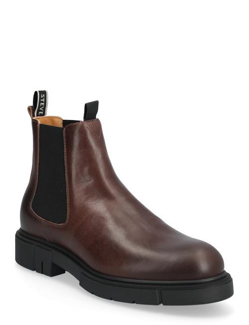 Cashville U Cognac Sneaky Steve Brown