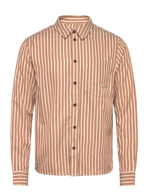 Sdroydon Stripe Solid Orange