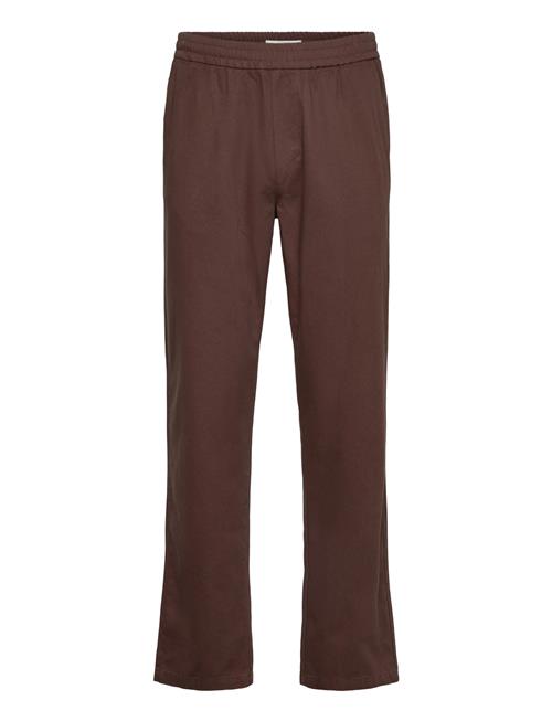Sdliam Elas. Solid Brown