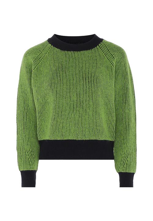myMo ROCKS Pullover  grøn / sort
