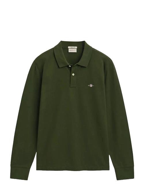 Reg Shield Ls Pique Rugger GANT Green