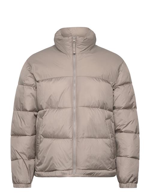 Hco. Guys Outerwear Hollister Beige
