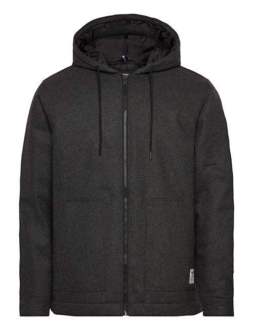 Brody Jacket Fat Moose Grey