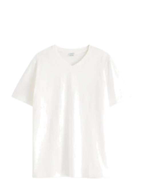 T Shirt V Neck Lindex White