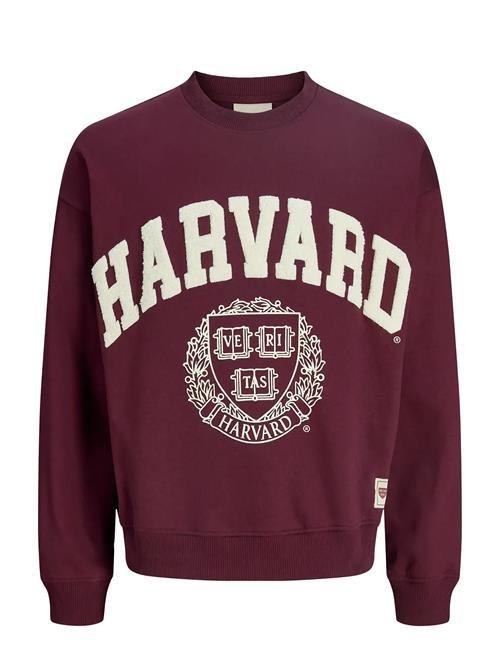 Jack & Jones Jorharvard Sweat C.n Styd Ss25 Jack & J S Burgundy