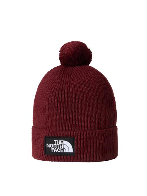 THE NORTH FACE Hue 'Logo Box'  carminrød / sort