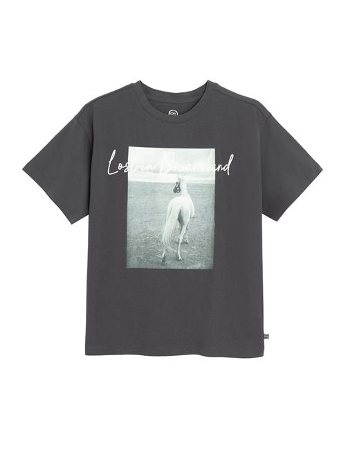 Cool Club Bluser & t-shirts  lysegrå / mørkegrå / hvid