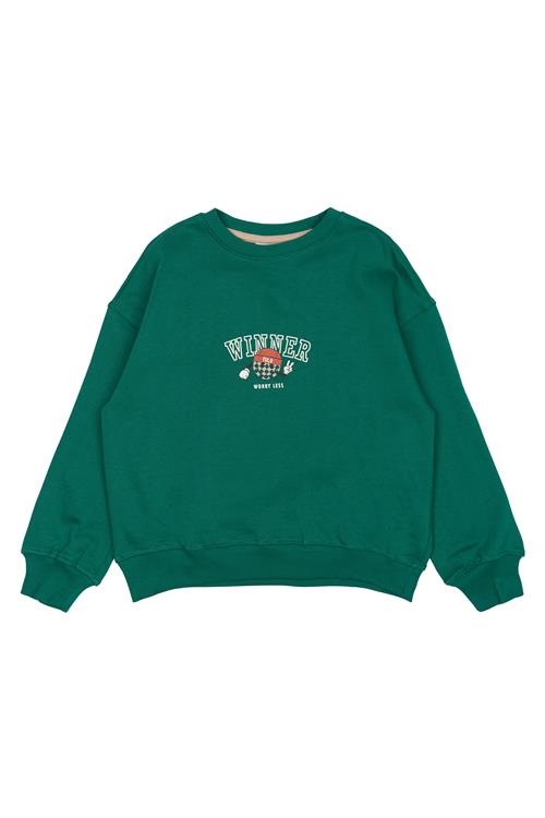 The New TNPaul OS Sweatshirt Alpine Green Alpine Green 9-10 Y  Grøn  9-10 år  mand