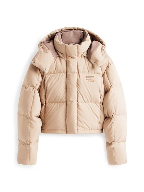 Tommy Jeans Vinterjakke 'ALASKA'  lysebrun