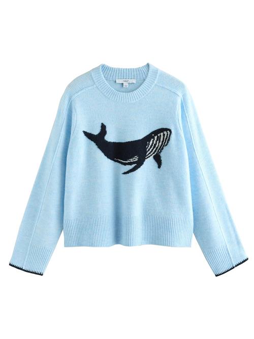 Next Pullover  natblå / lyseblå