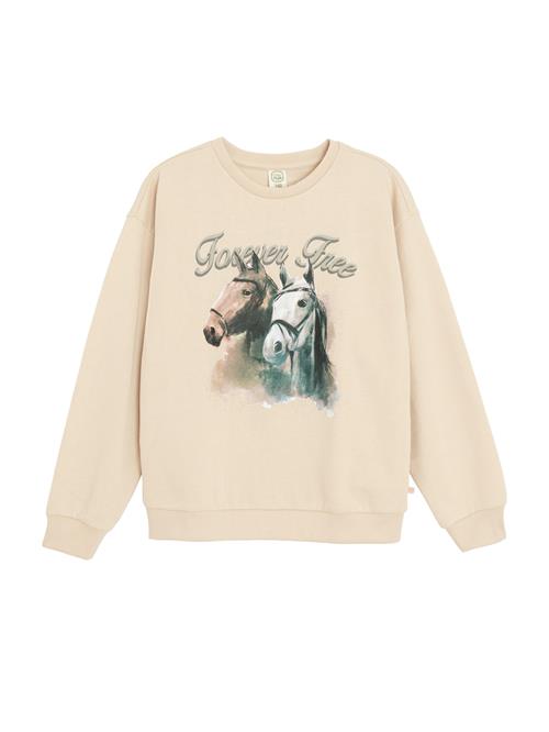 Cool Club Sweatshirt  creme / lysebrun / grå / sort