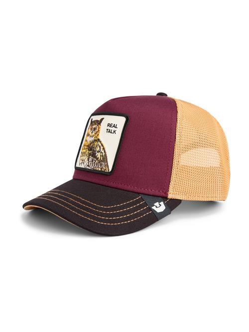GOORIN Bros. Hætte 'Owl'  orange / vinrød / sort / hvid