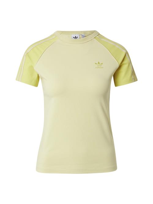 ADIDAS ORIGINALS Shirts 'Adicolor'  gul / pastelgul