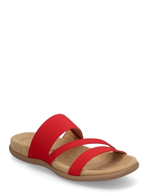 Slip-In Gabor Red