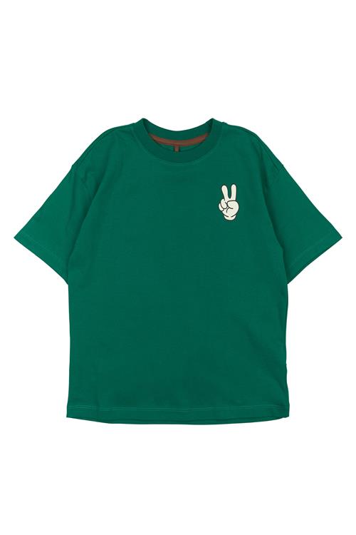 The New GOTS Panton T-shirt Alpine Green  Alpine Green 3-4 Y  Grøn  3-4 år  mand