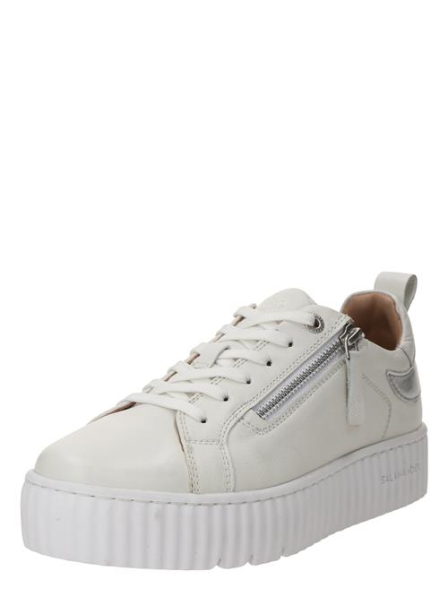 SALAMANDER Sneaker low  sølv / hvid