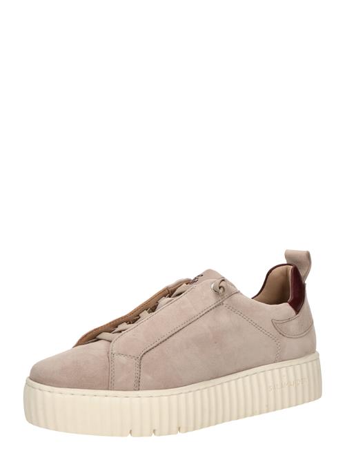 SALAMANDER Sneaker low  mørkebeige