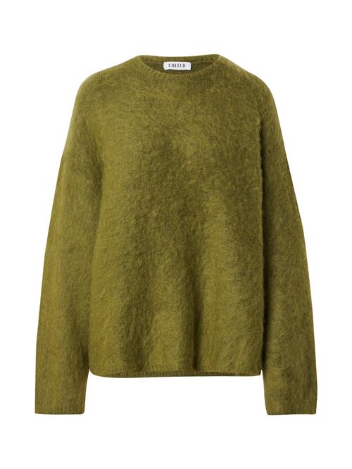 EDITED Pullover 'Bailee'  grøn