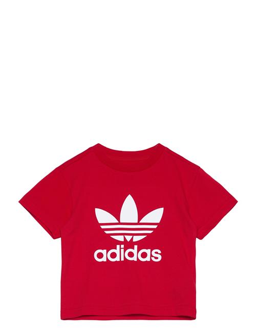 Trefoil Tee Adidas Originals Red
