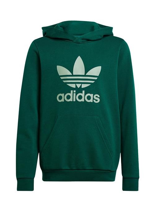 Trefoil Hoodie Adidas Originals Green