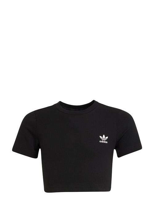 Rib Crop Tee Adidas Originals Black