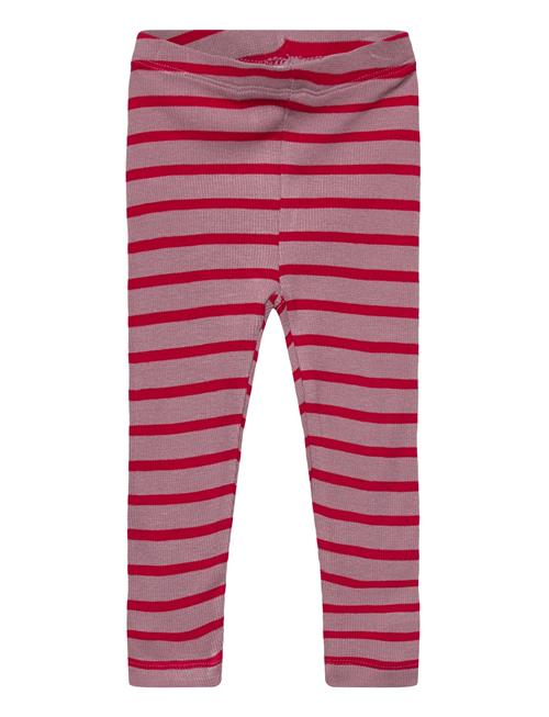 Tnsbrie Rib Leggings The New Pink