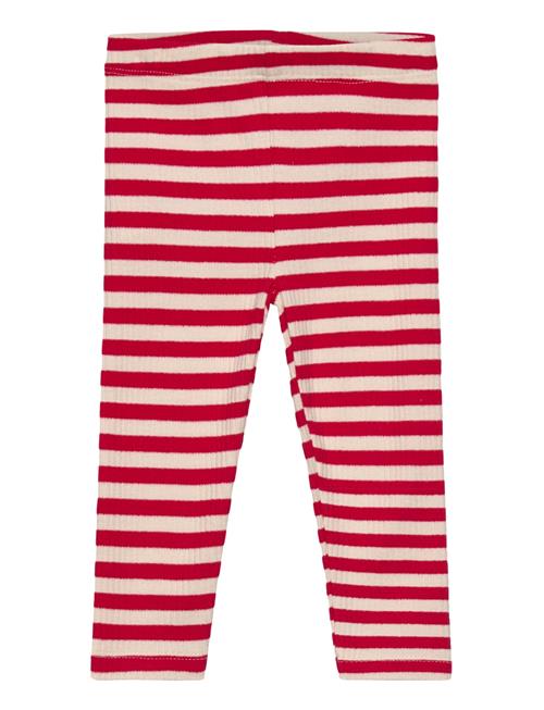 Tnsbfro Rib Leggings The New Red