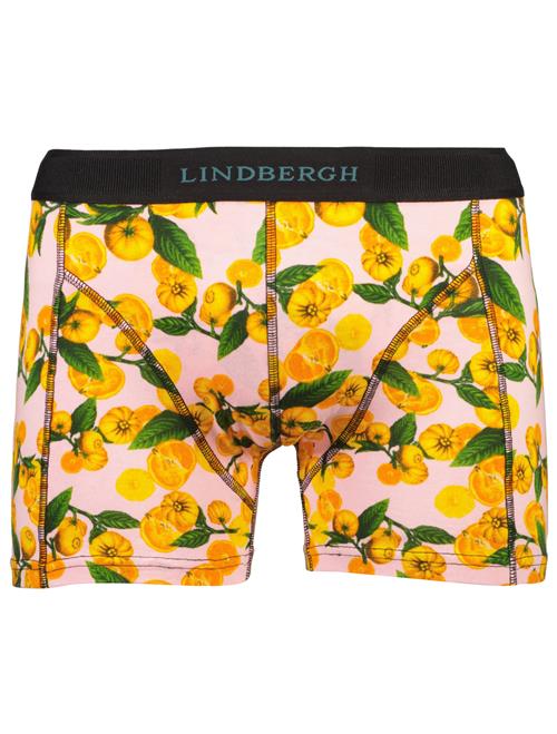 Lindbergh Tights