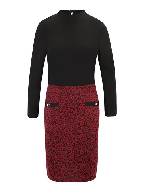 Dorothy Perkins Tall Kjole 'Berry'  rød / sort